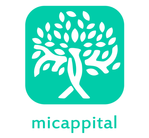 Qué es Micappital